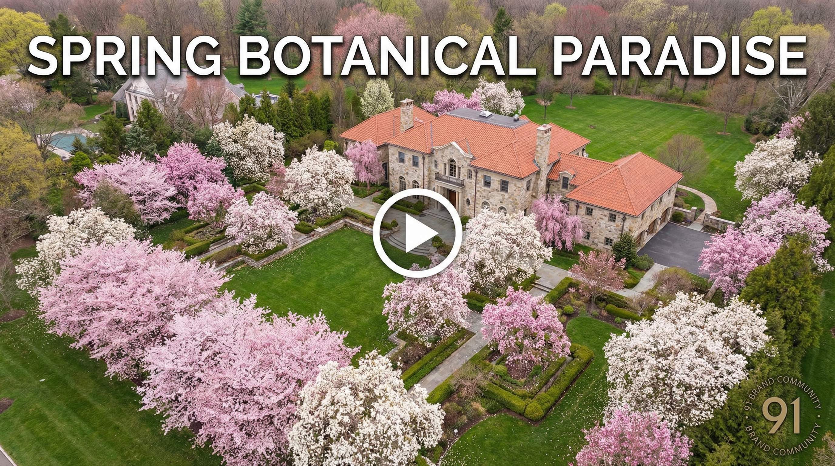 福利姬植物视频